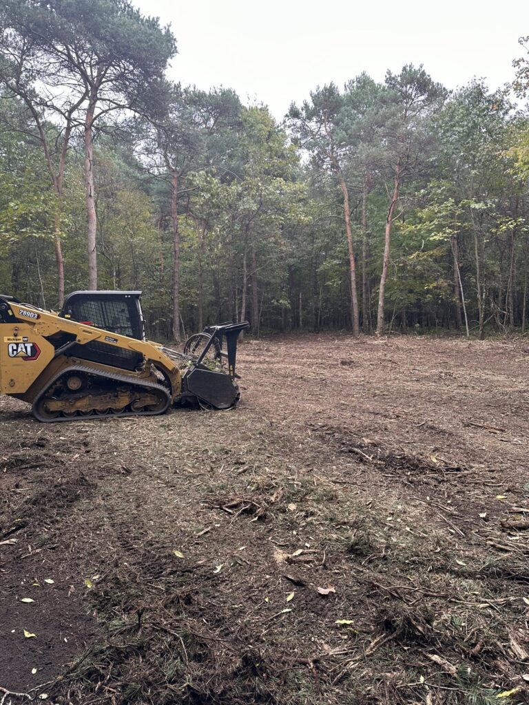 Land Clearing Near Me: Factors That Affect Cost in Wilkes County, NC ...