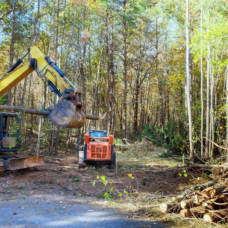 In preparation for constructing new home builder uproots trees from forest uses tractor