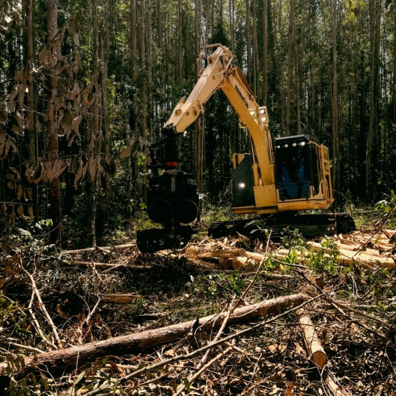 land-clearing-09